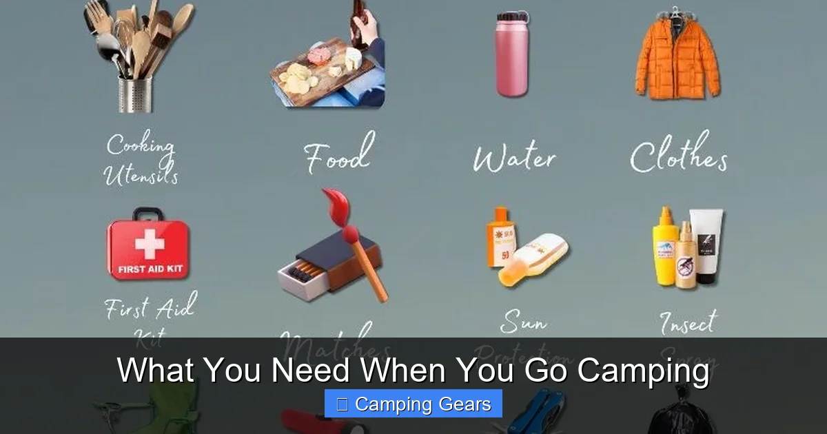 What You Need When You Go Camping
