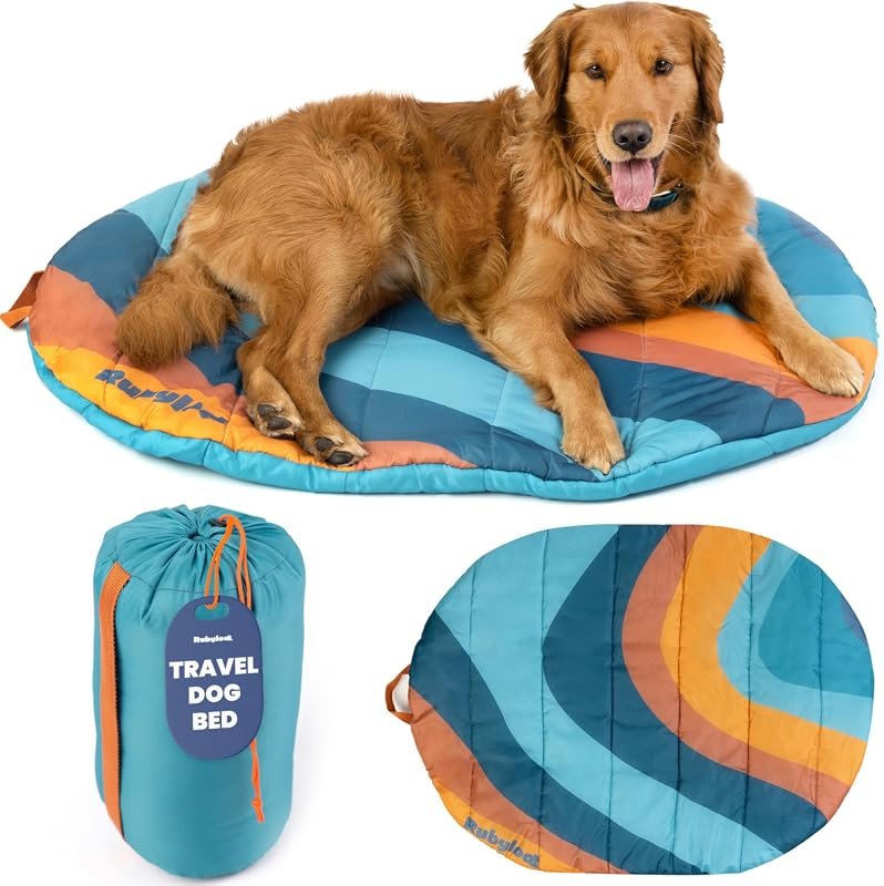 Portable Foldable Bed
