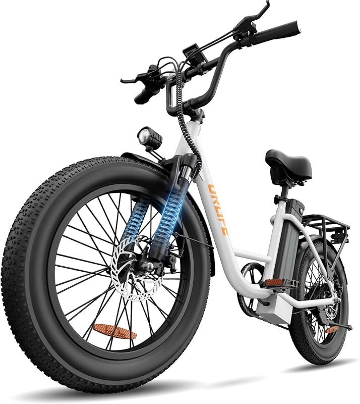 URLIFE E-bike